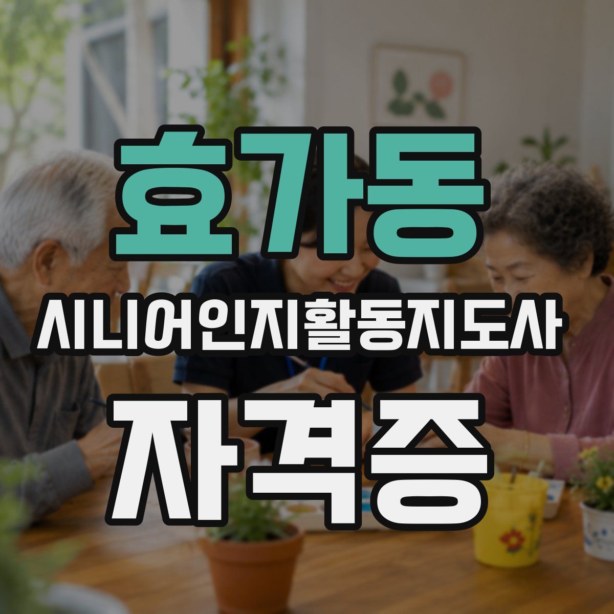 효가동 시니어인지활동지도사 자격증