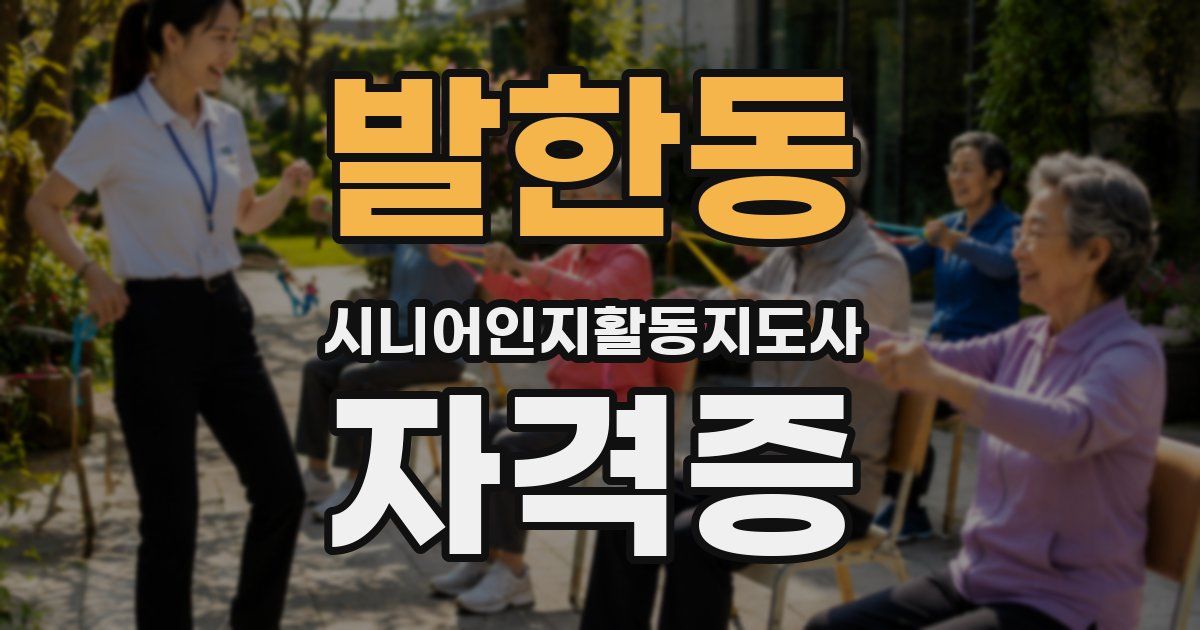 발한동 시니어인지활동지도사 자격증