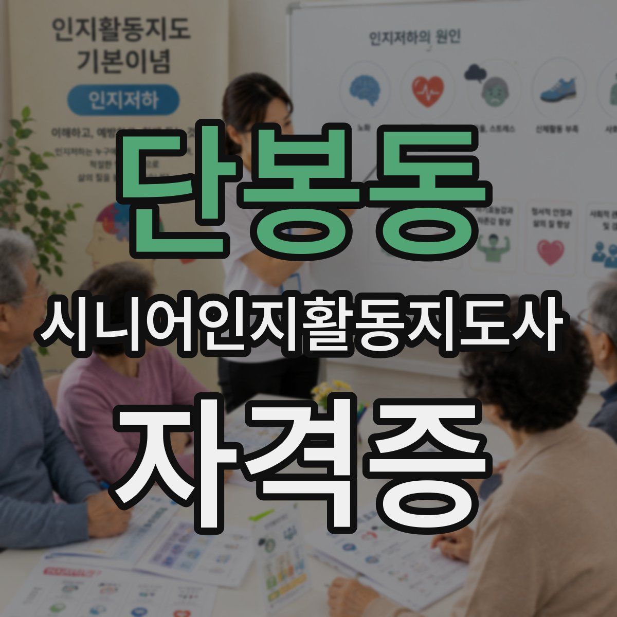 단봉동 시니어인지활동지도사 자격증