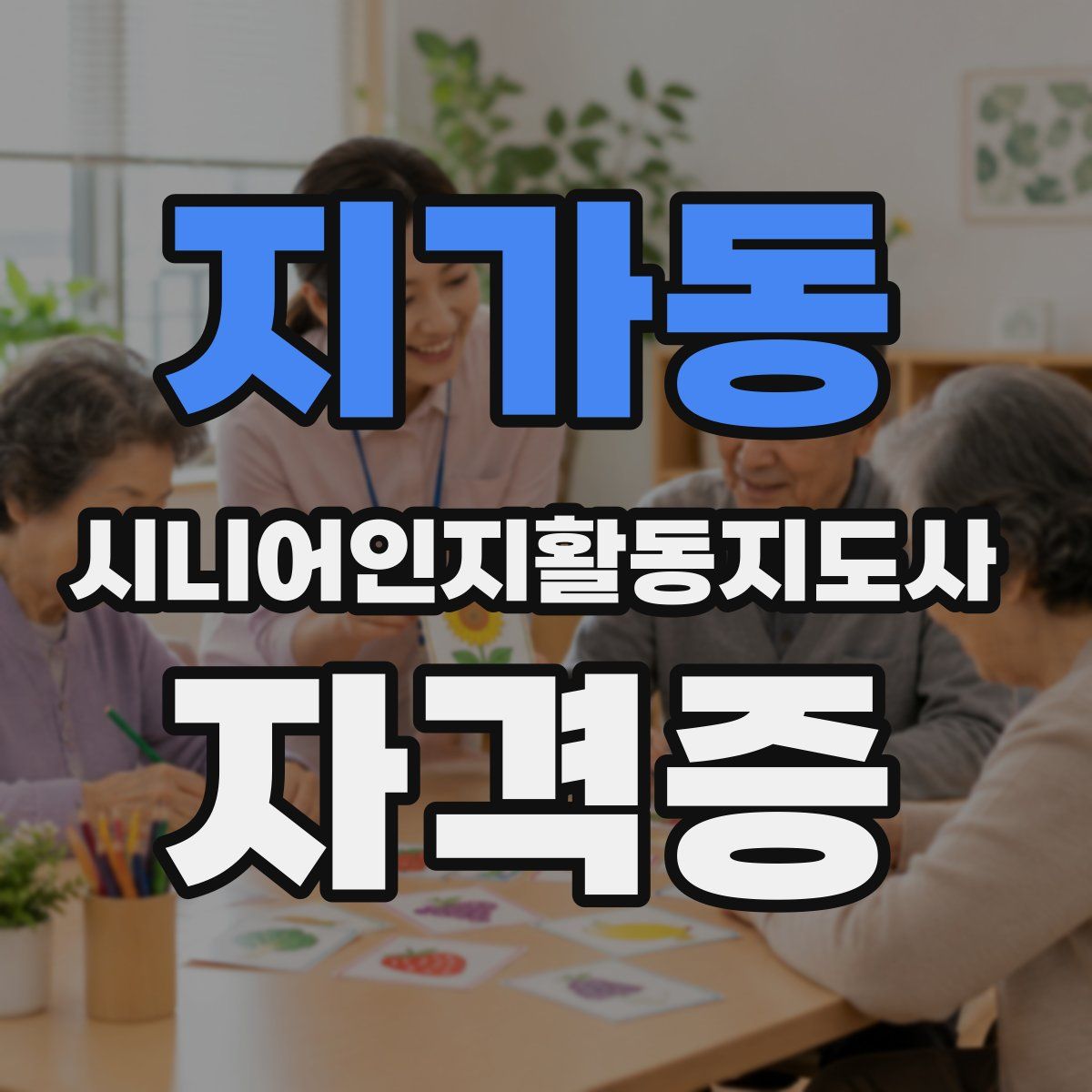 지가동 시니어인지활동지도사 자격증