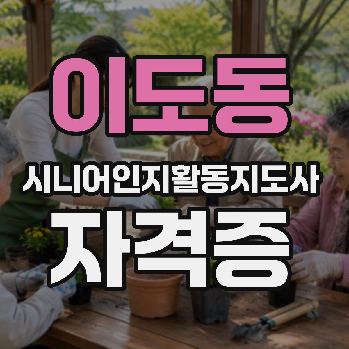 이도동 시니어인지활동지도사 자격증