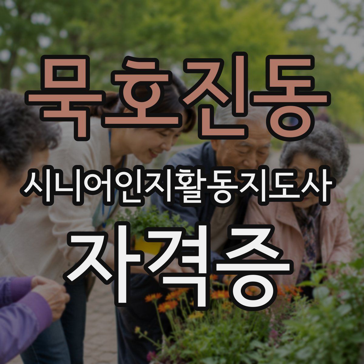 묵호진동 시니어인지활동지도사 자격증