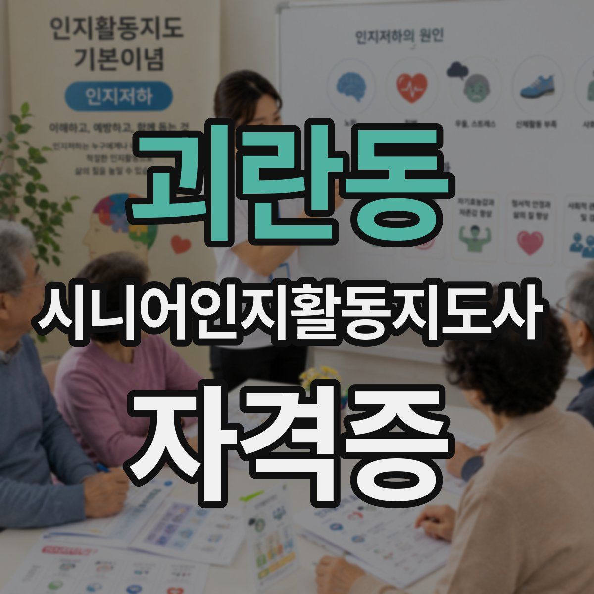 괴란동 시니어인지활동지도사 자격증