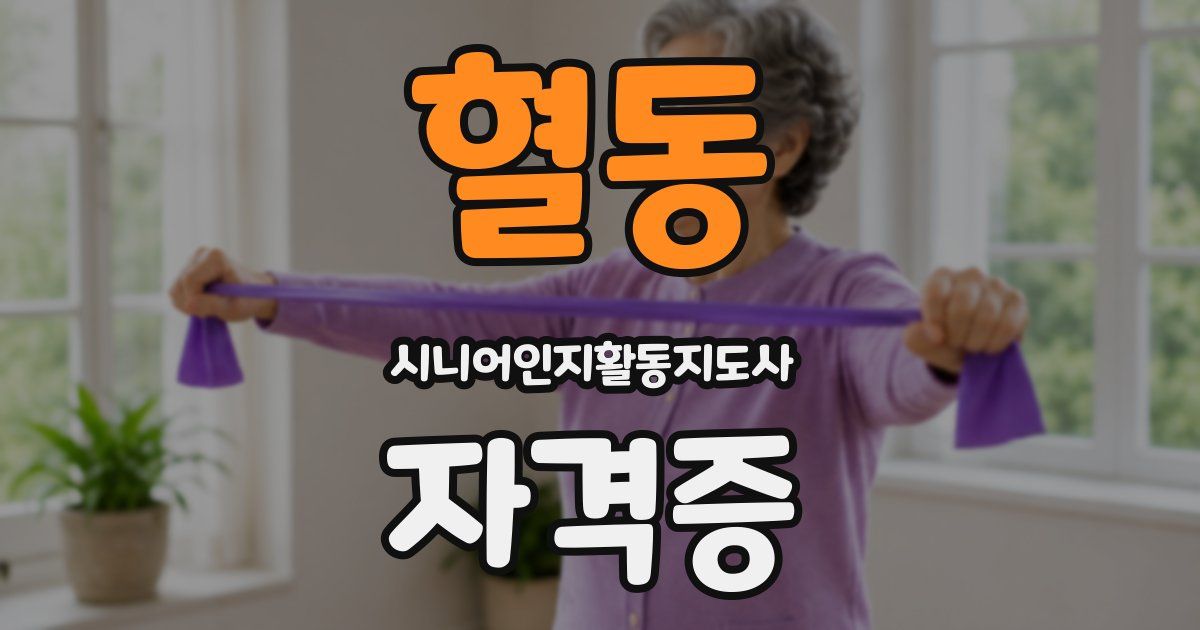혈동 시니어인지활동지도사 자격증