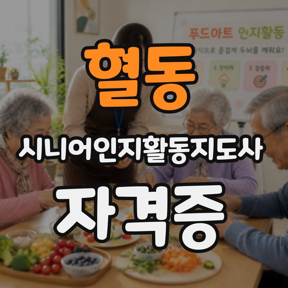 혈동 시니어인지활동지도사 자격증