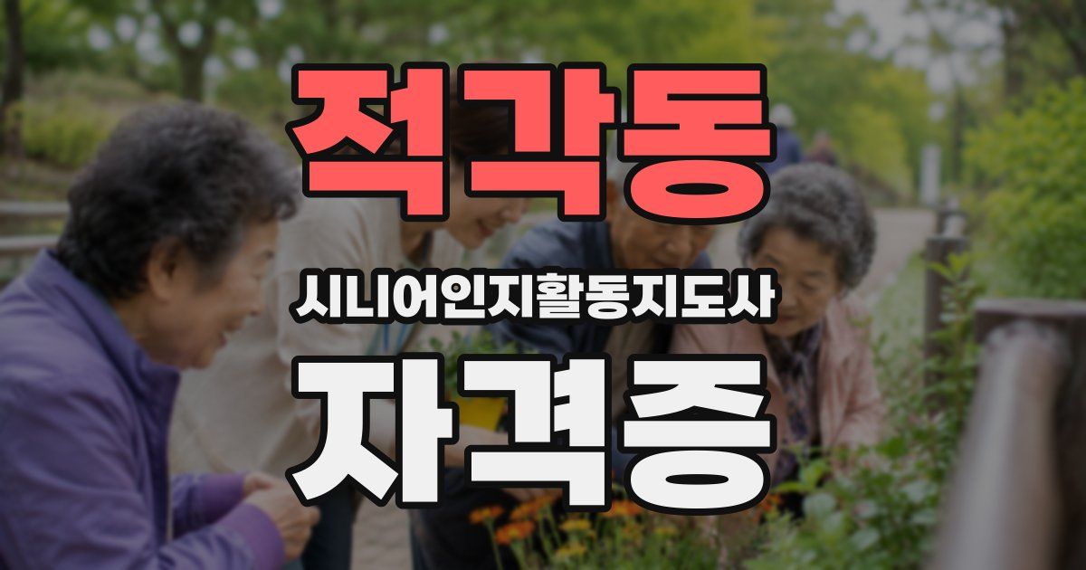 적각동 시니어인지활동지도사 자격증