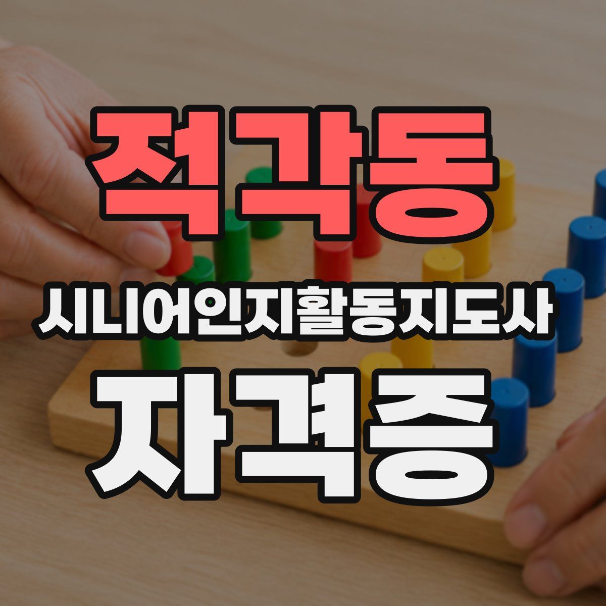 적각동 시니어인지활동지도사 자격증