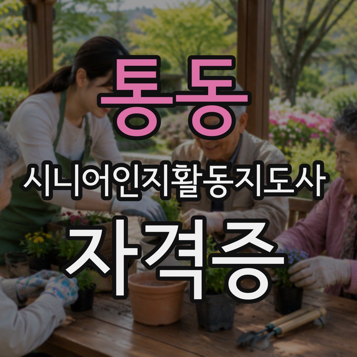 통동 시니어인지활동지도사 자격증