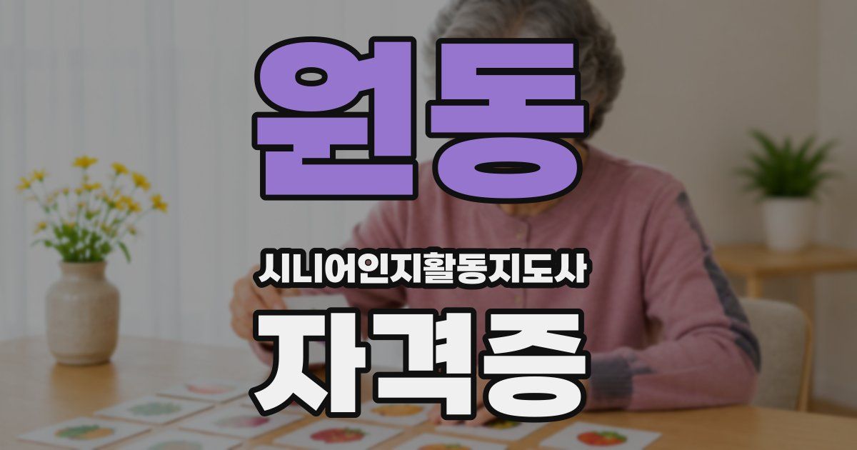 원동 시니어인지활동지도사 자격증