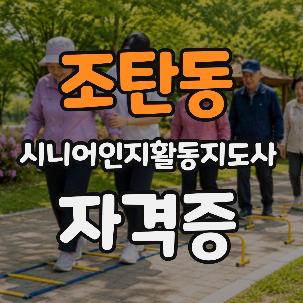 조탄동 시니어인지활동지도사 자격증