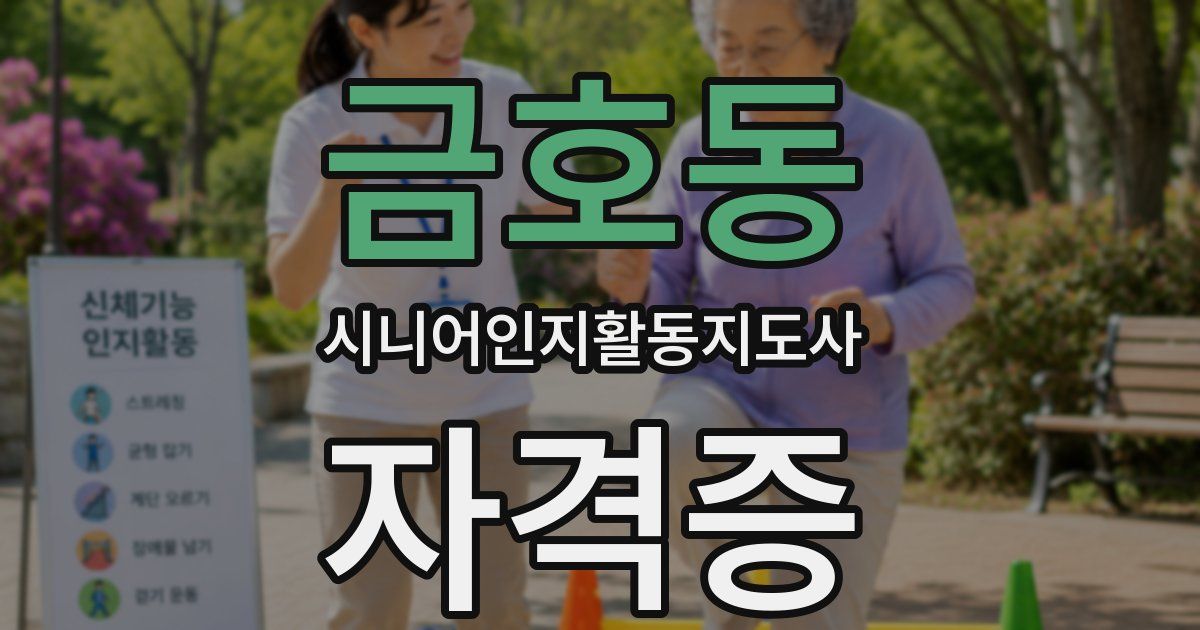 금호동 시니어인지활동지도사 자격증