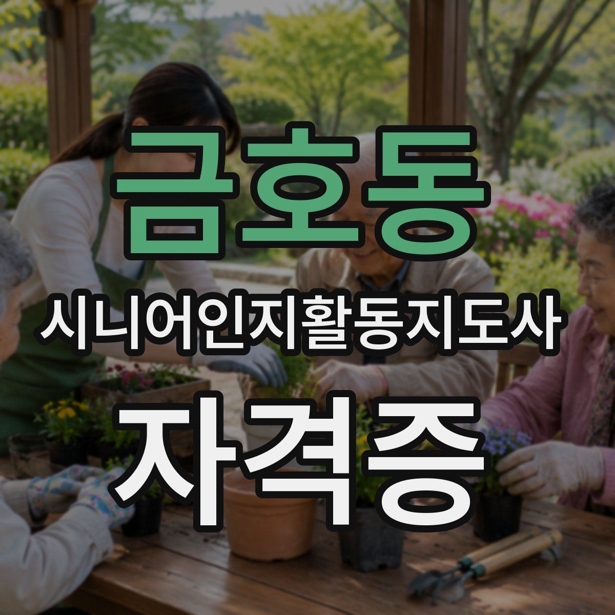 금호동 시니어인지활동지도사 자격증