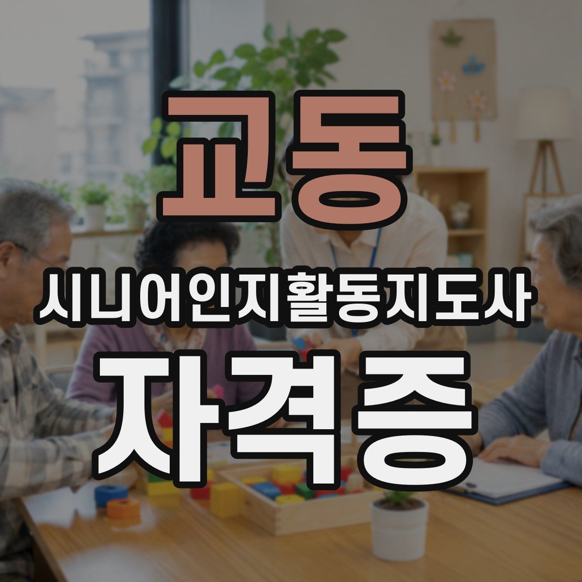 교동 시니어인지활동지도사 자격증