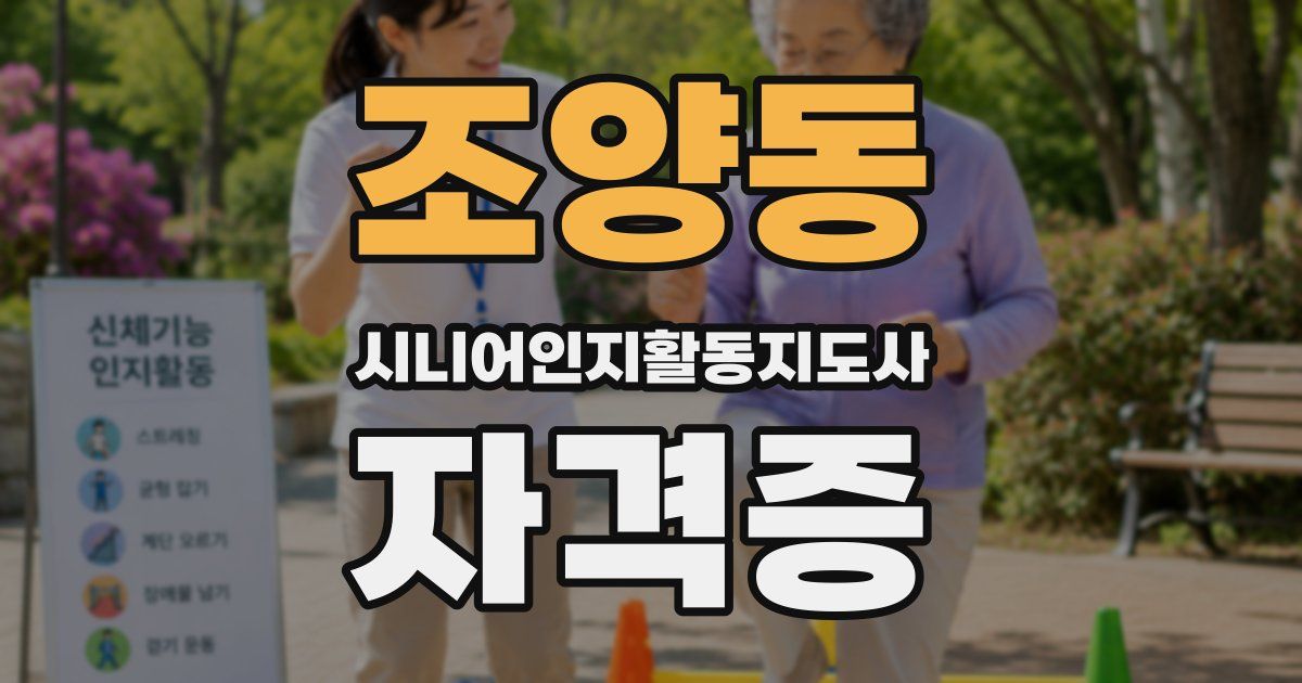 조양동 시니어인지활동지도사 자격증