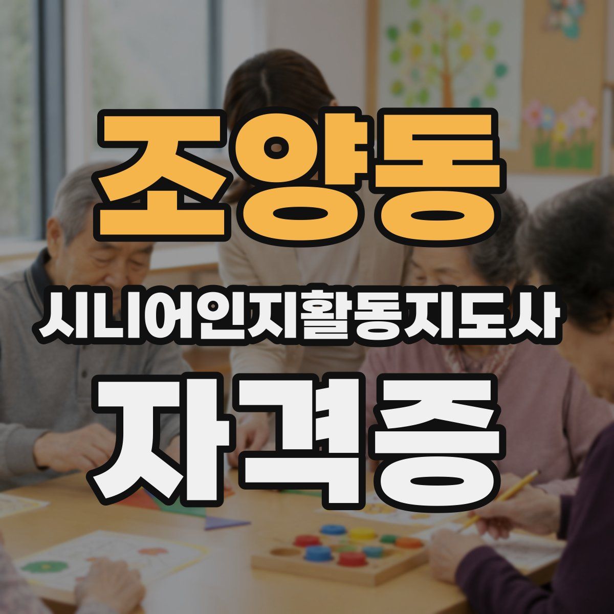 조양동 시니어인지활동지도사 자격증