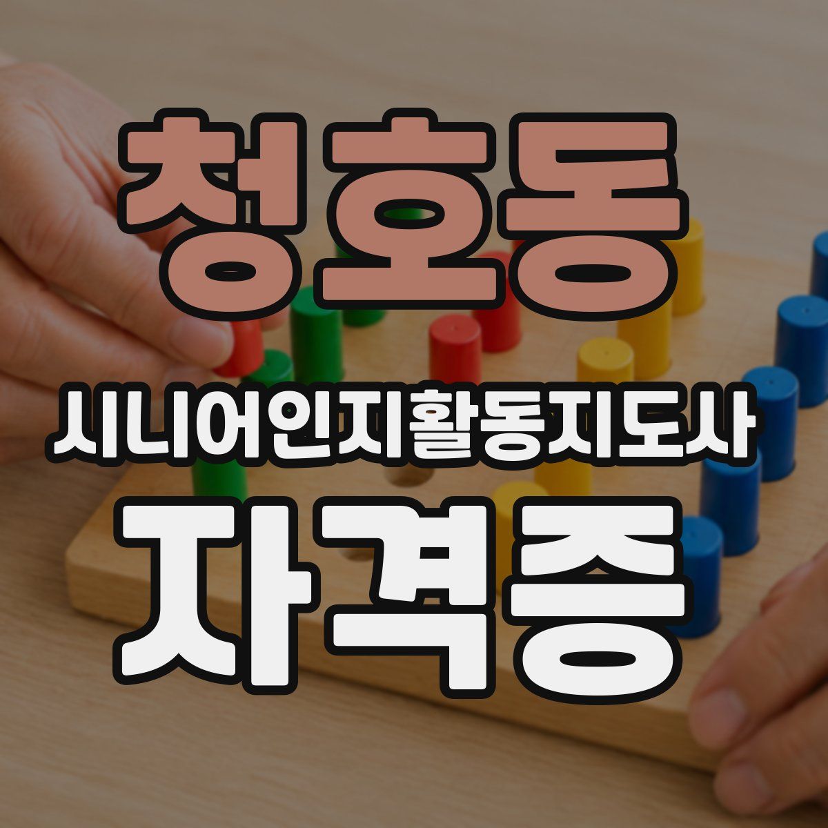 청호동 시니어인지활동지도사 자격증