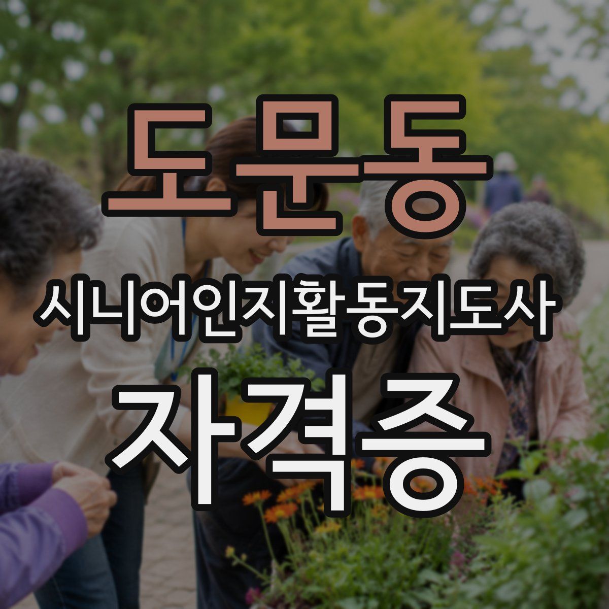 도문동 시니어인지활동지도사 자격증
