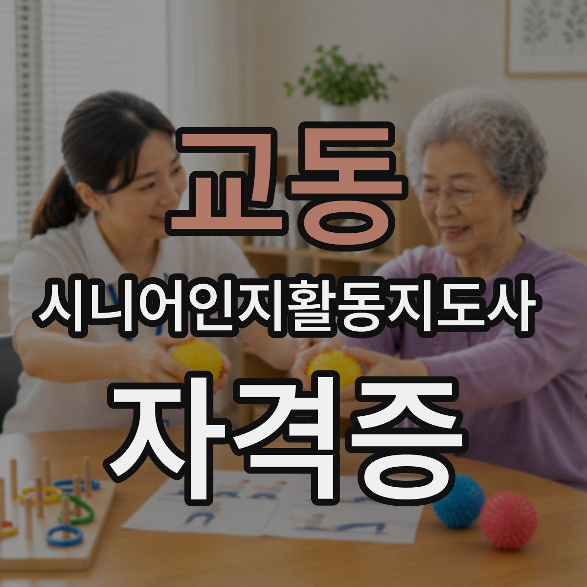 교동 시니어인지활동지도사 자격증