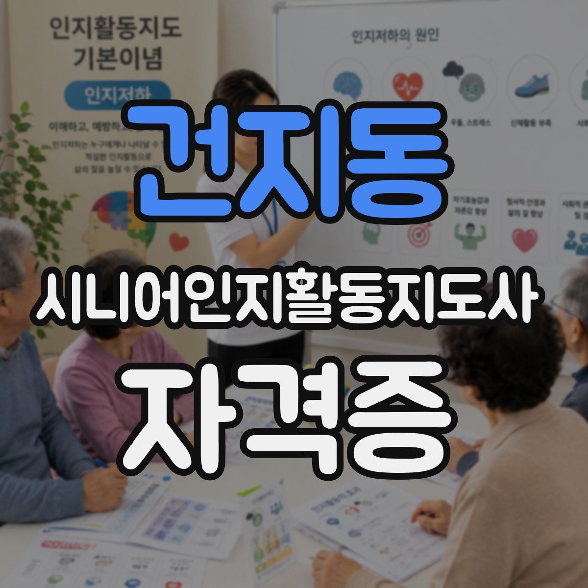 건지동 시니어인지활동지도사 자격증
