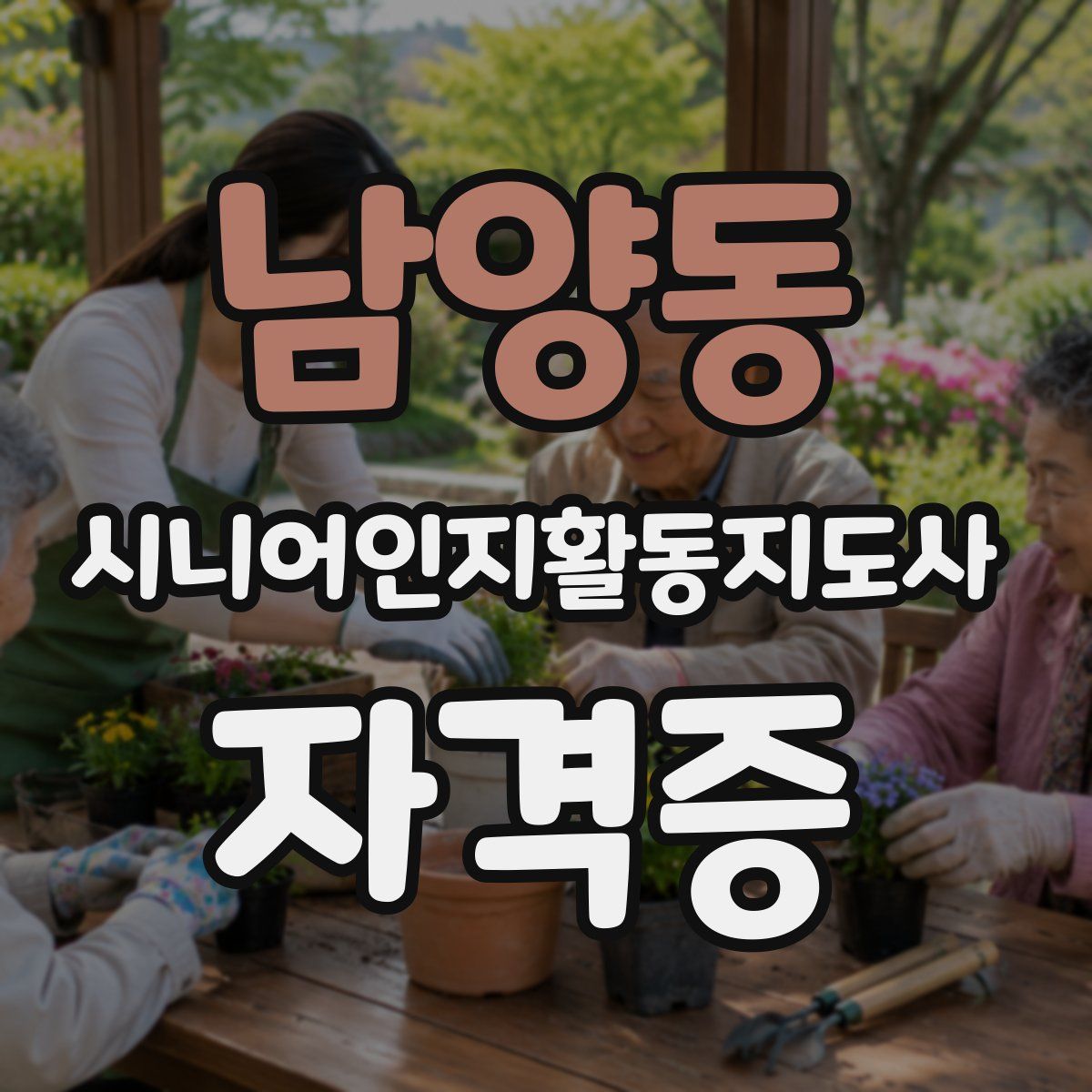 남양동 시니어인지활동지도사 자격증
