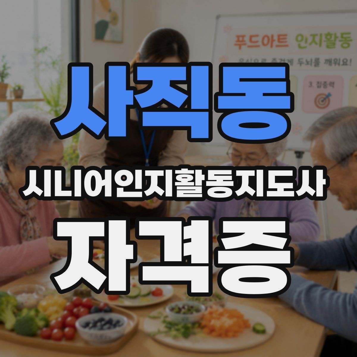 사직동 시니어인지활동지도사 자격증 준비에 유용한 정보 모음