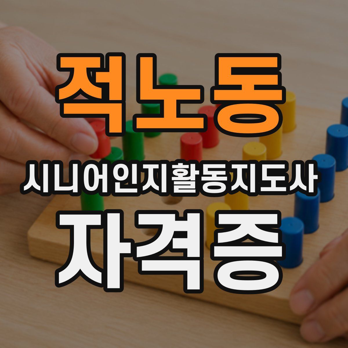 적노동 시니어인지활동지도사 자격증