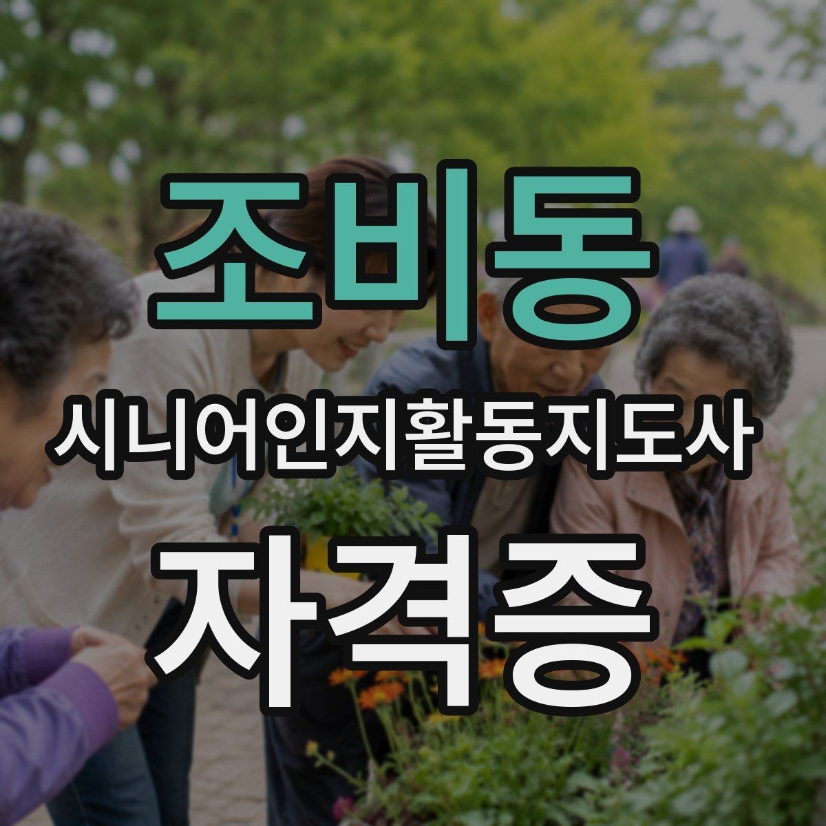 조비동 시니어인지활동지도사 자격증 현장 적용에 필요한 역량
