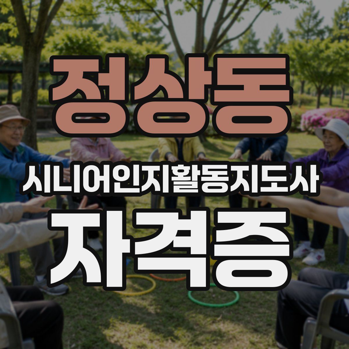 정상동 시니어인지활동지도사 자격증