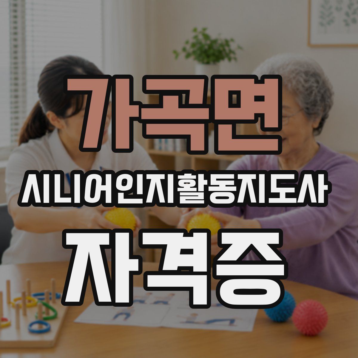 가곡면 시니어인지활동지도사 자격증