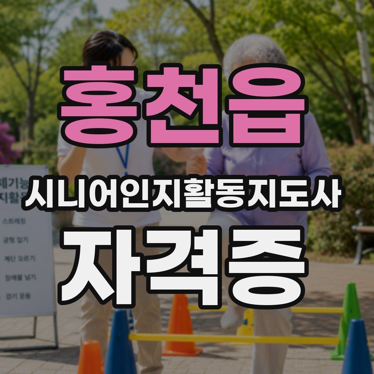 홍천읍 시니어인지활동지도사 자격증 자격 활용 범위 이해하기