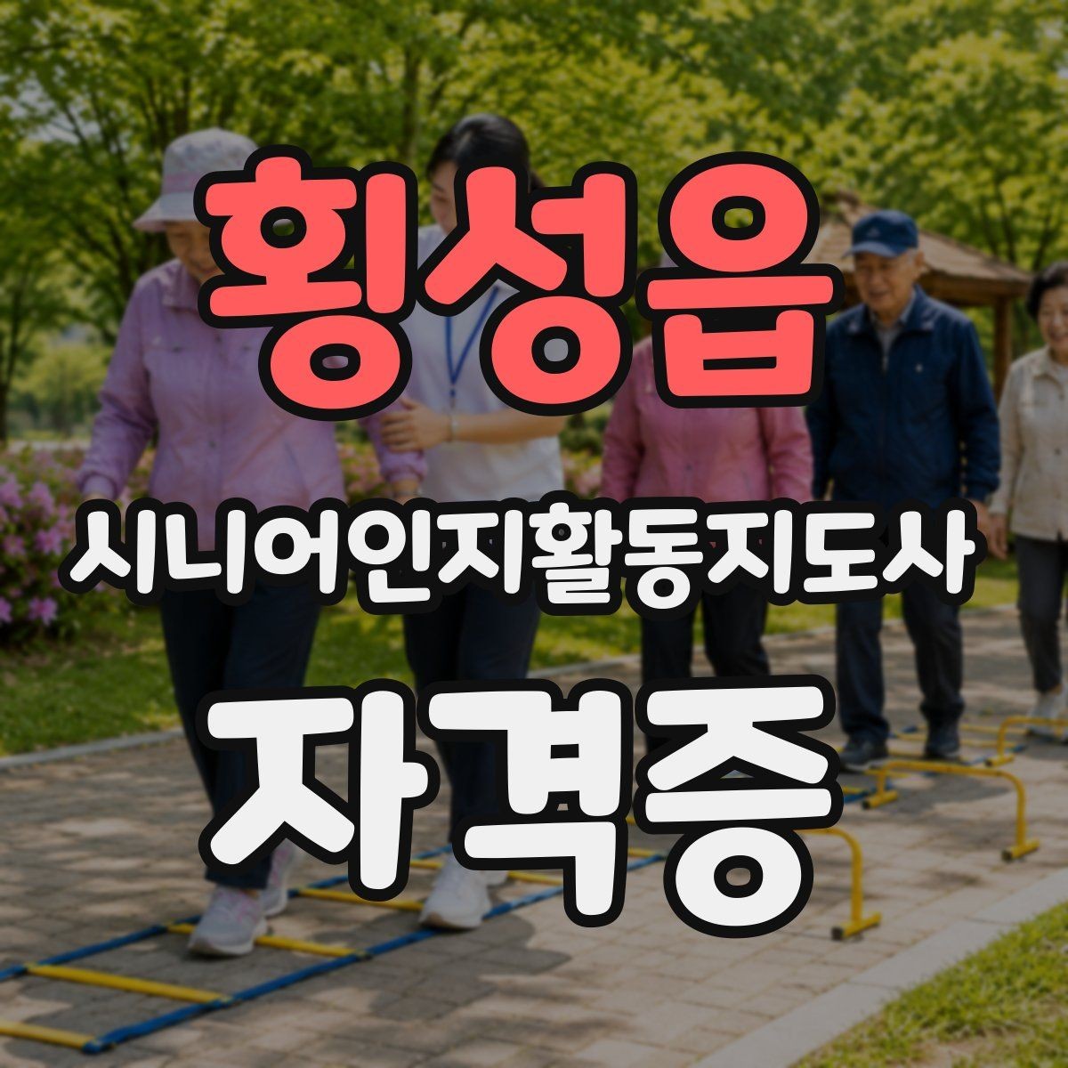 횡성읍 시니어인지활동지도사 자격증 커리큘럼에서 살펴볼 내용