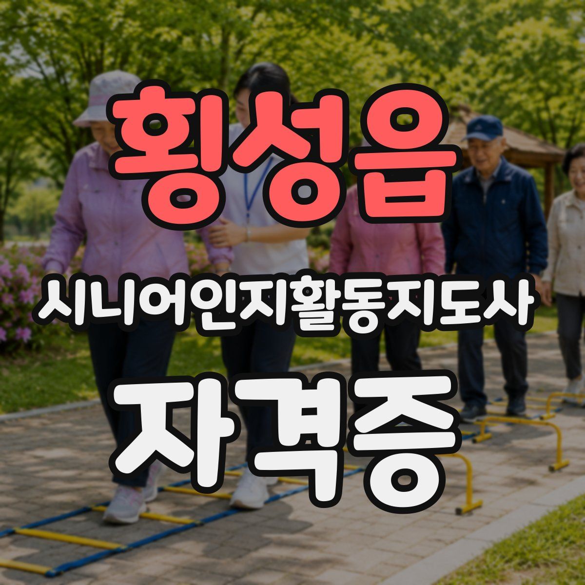 횡성읍 시니어인지활동지도사 자격증