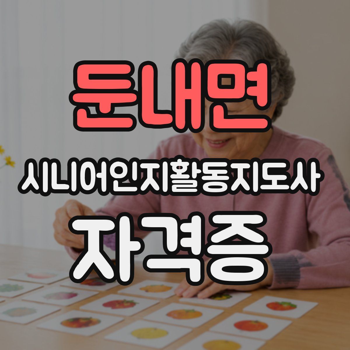 둔내면 시니어인지활동지도사 자격증