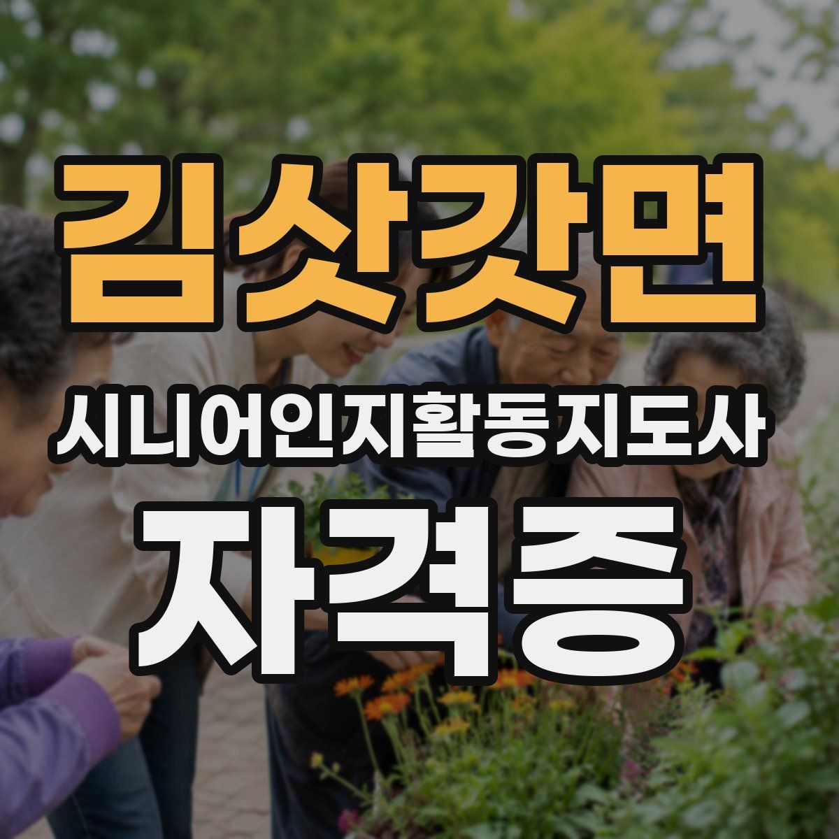 김삿갓면 시니어인지활동지도사 자격증
