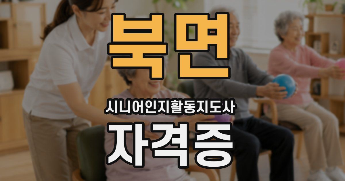 북면 시니어인지활동지도사 자격증