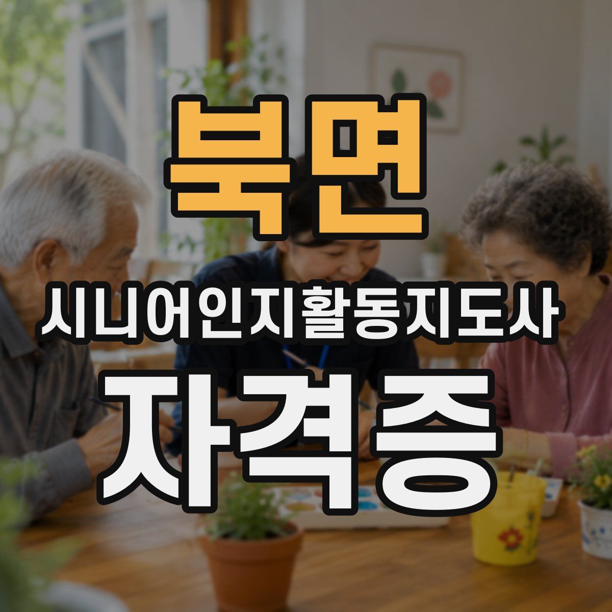 북면 시니어인지활동지도사 자격증