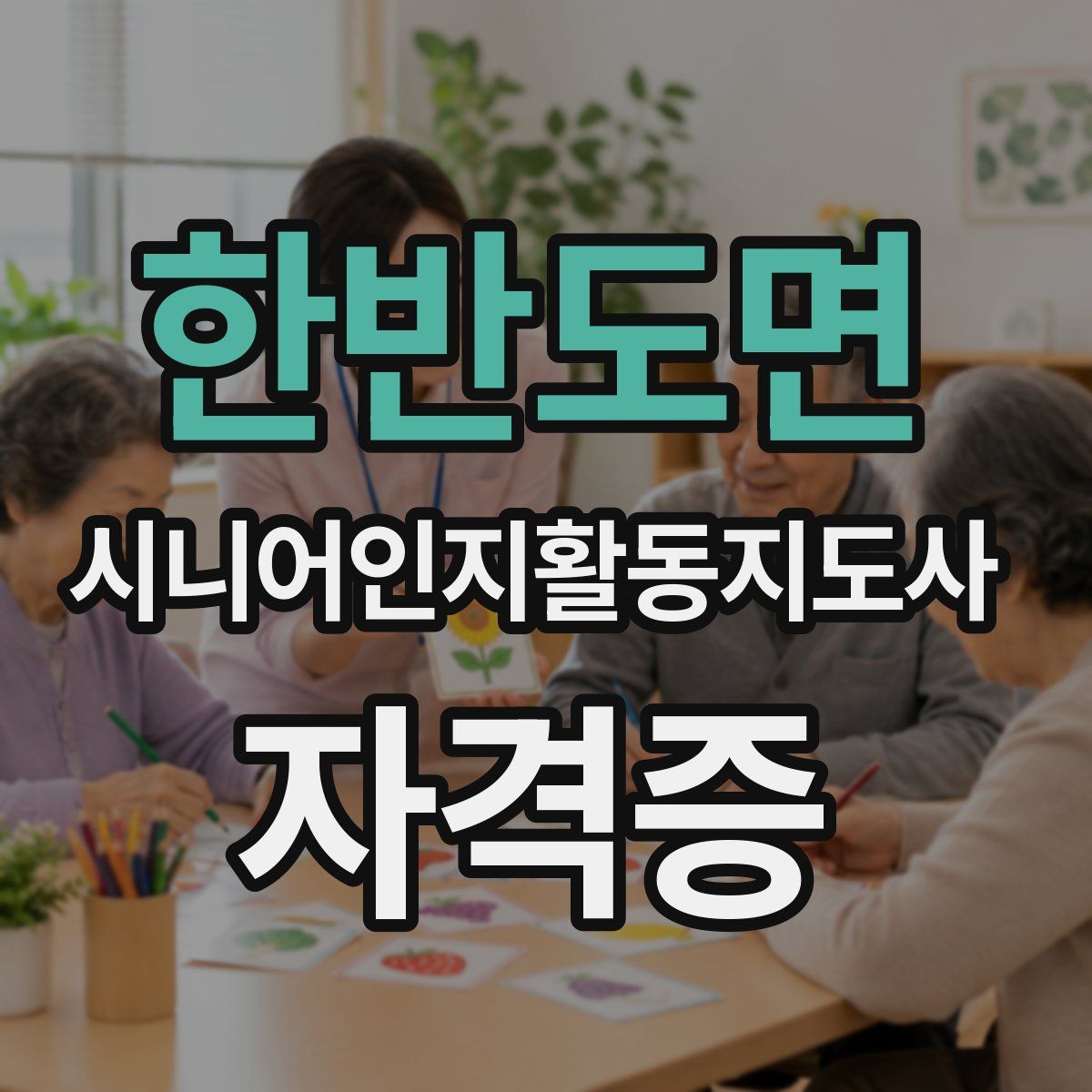 한반도면 시니어인지활동지도사 자격증