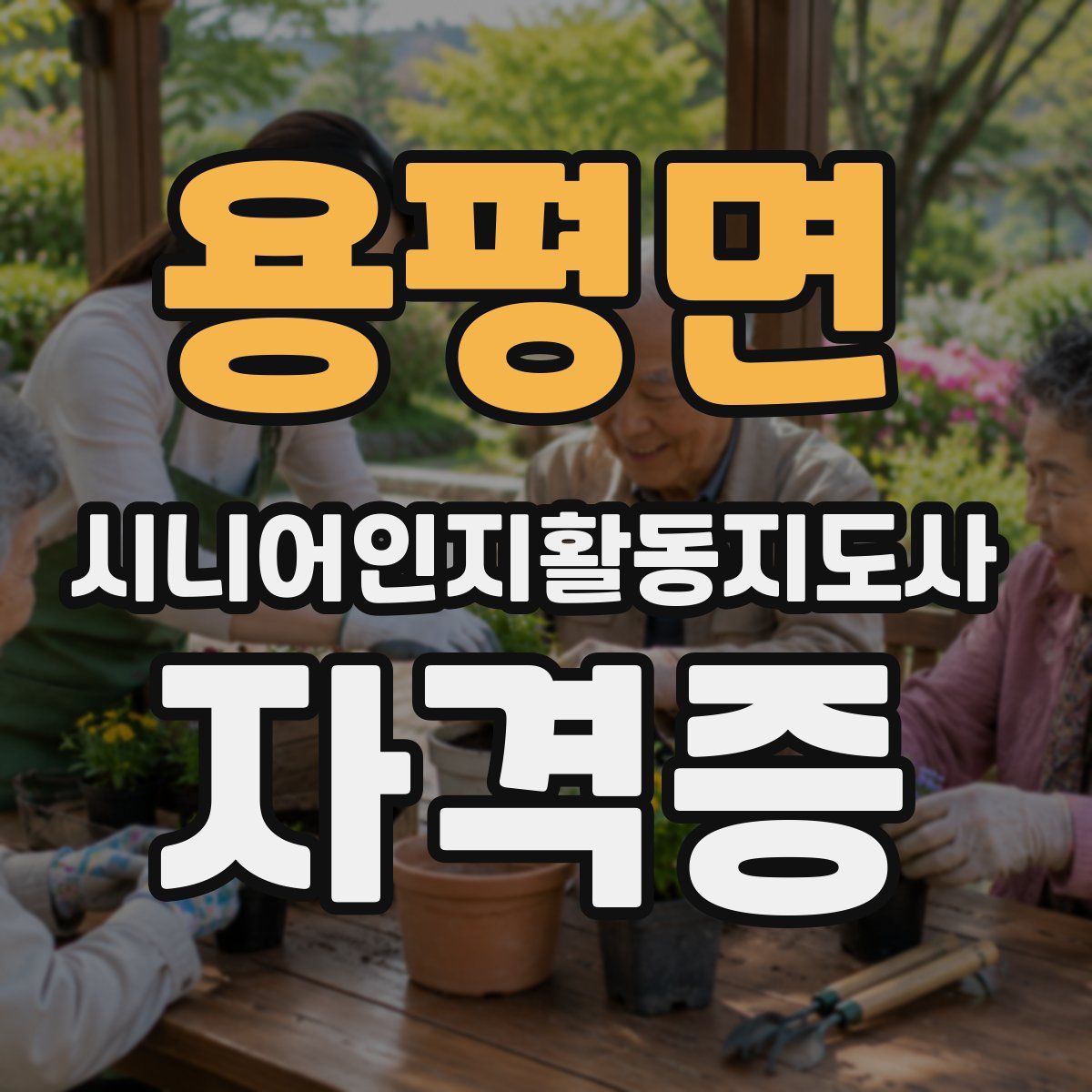 용평면 시니어인지활동지도사 자격증