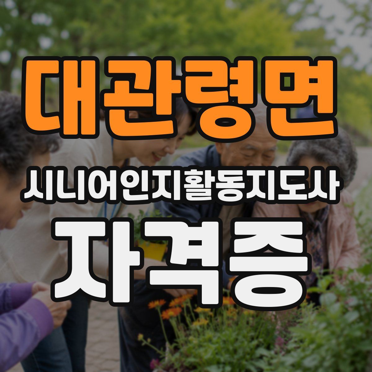 대관령면 시니어인지활동지도사 자격증
