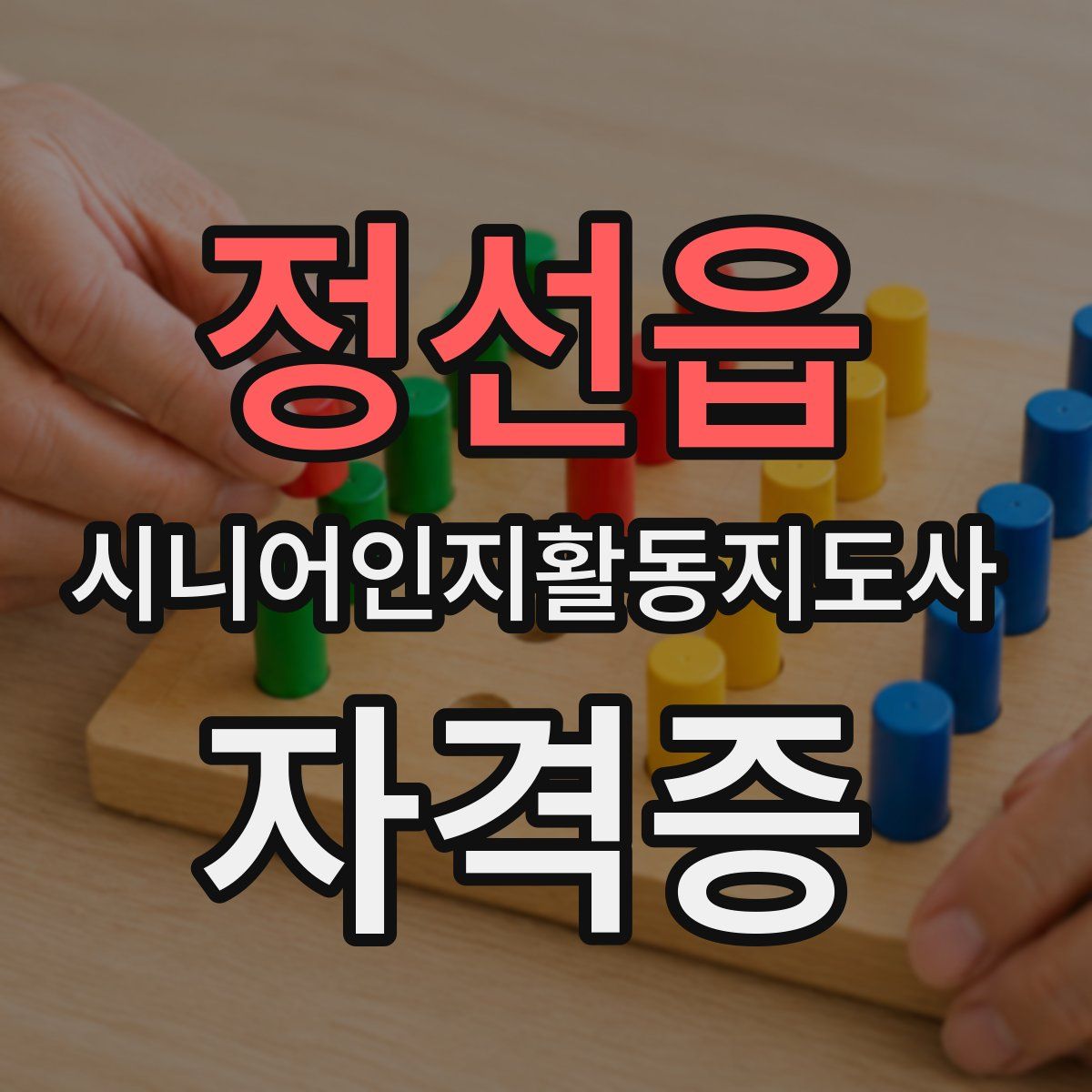 정선읍 시니어인지활동지도사 자격증