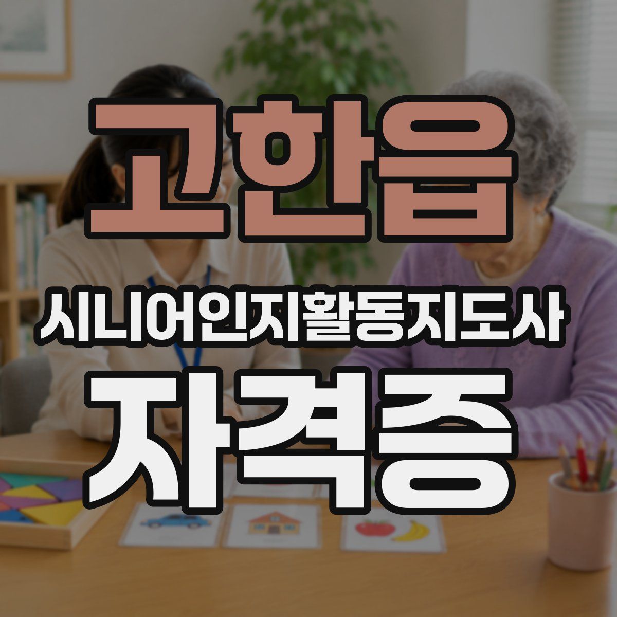 고한읍 시니어인지활동지도사 자격증