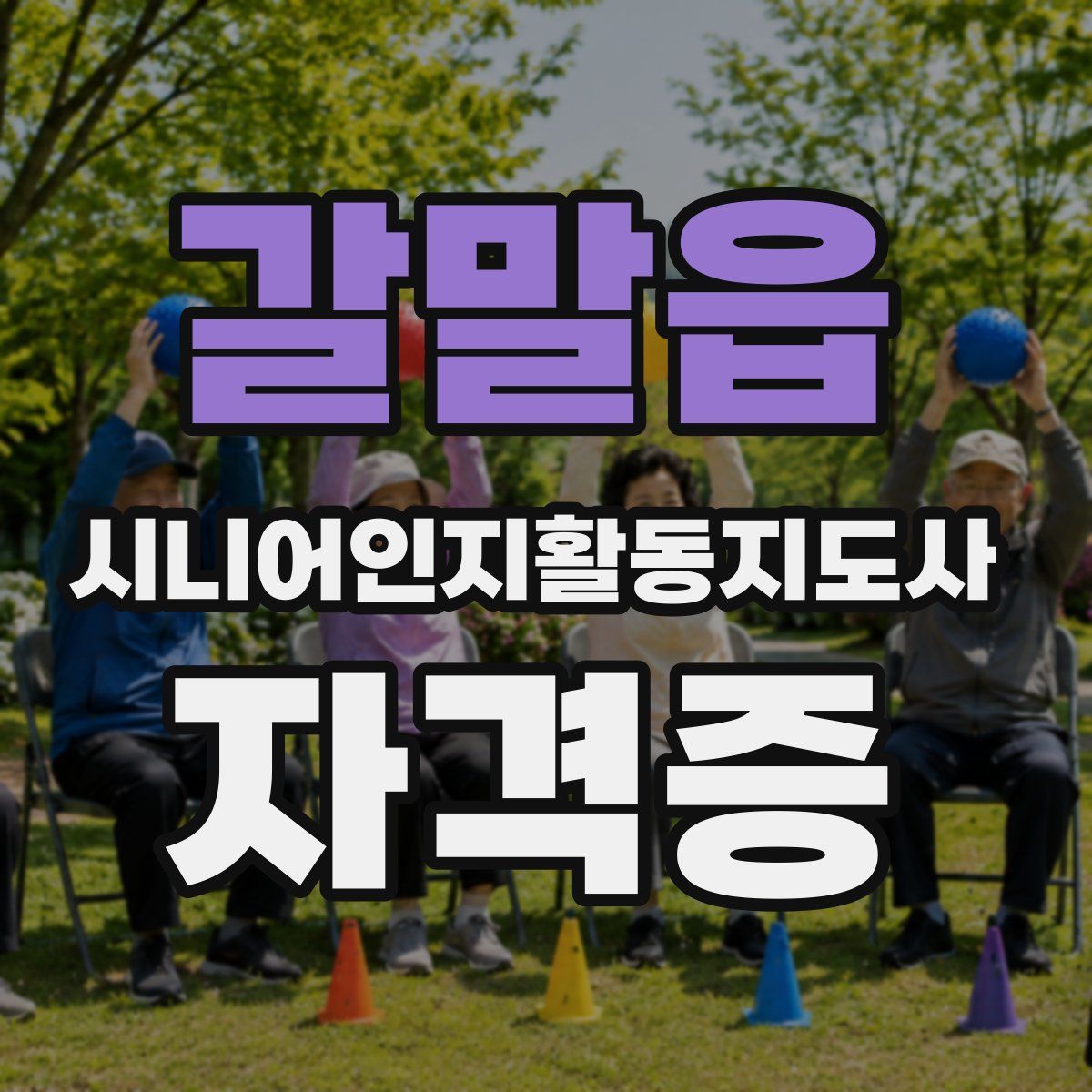 갈말읍 시니어인지활동지도사 자격증