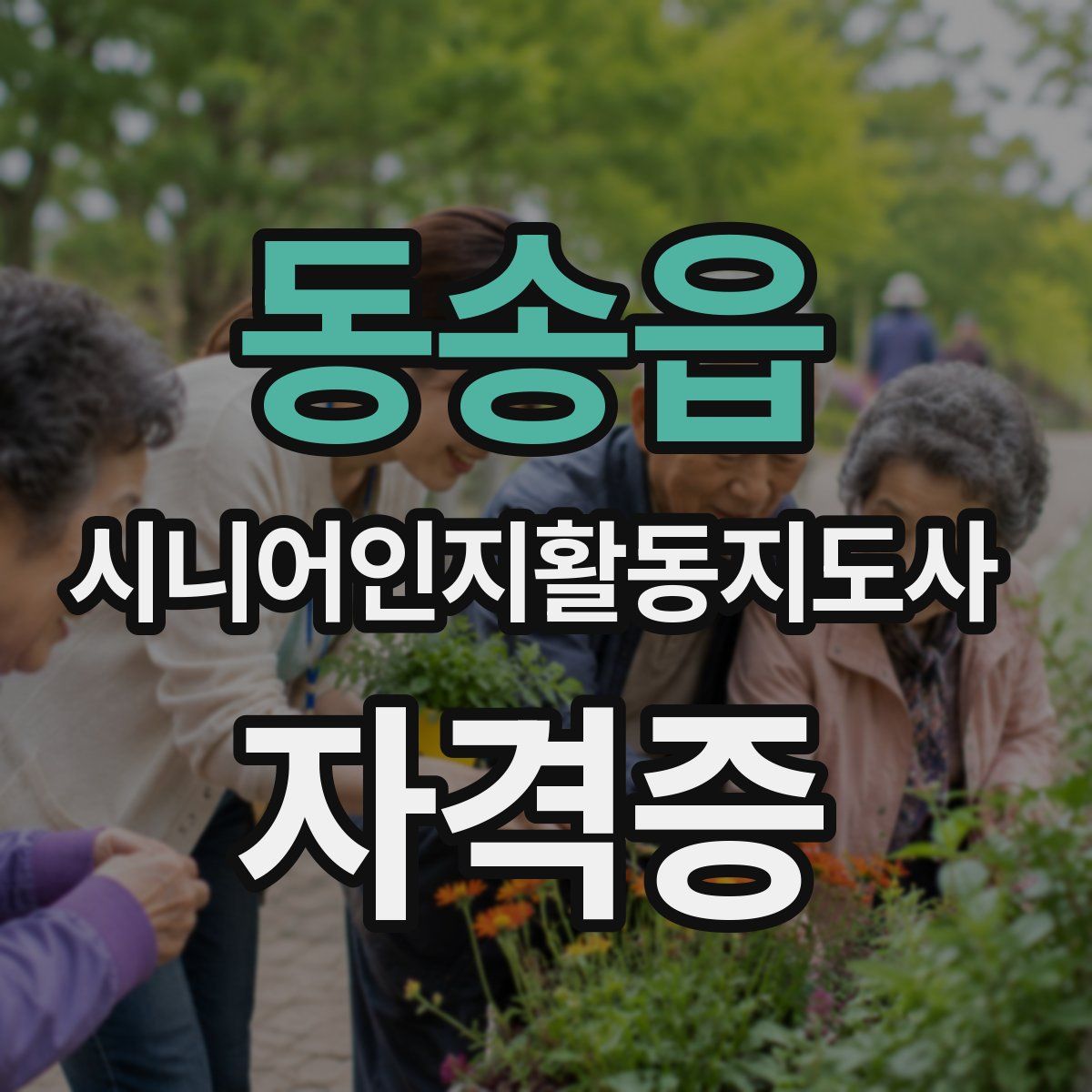 동송읍 시니어인지활동지도사 자격증