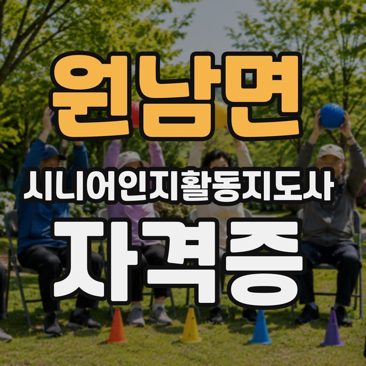 원남면 시니어인지활동지도사 자격증