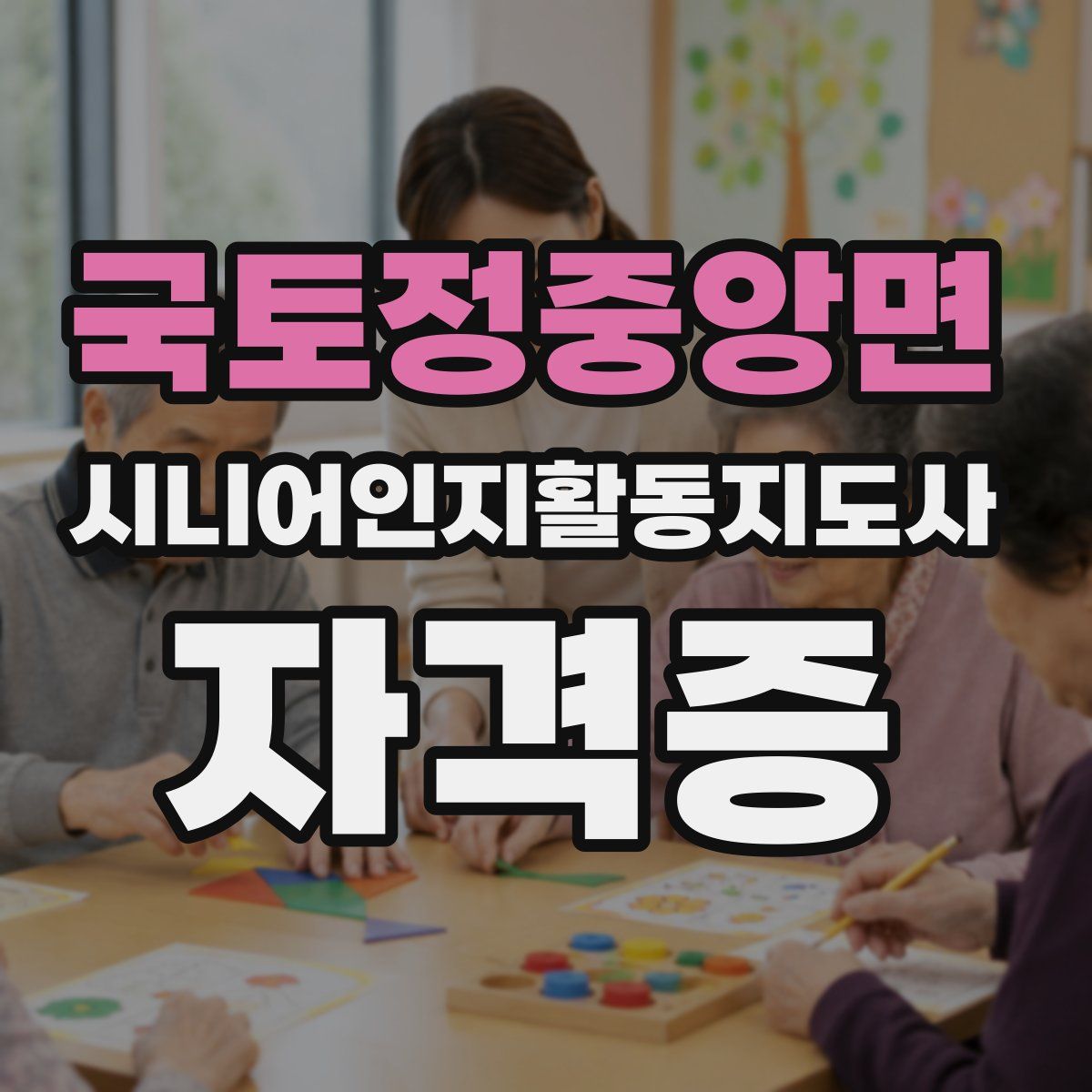 국토정중앙면 시니어인지활동지도사 자격증