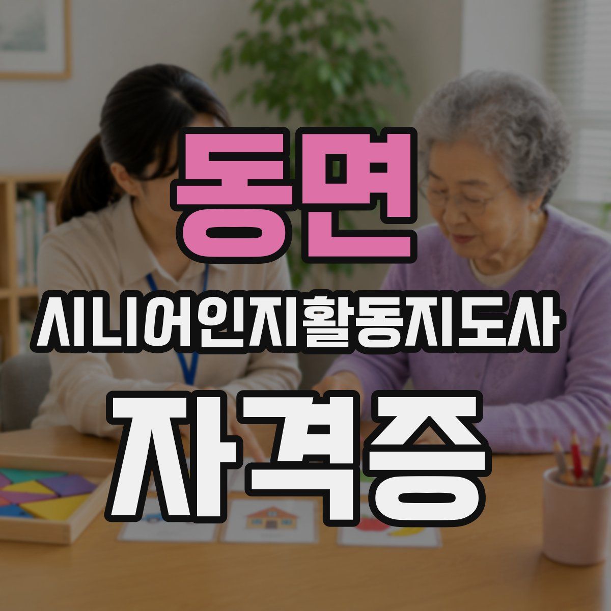 동면 시니어인지활동지도사 자격증