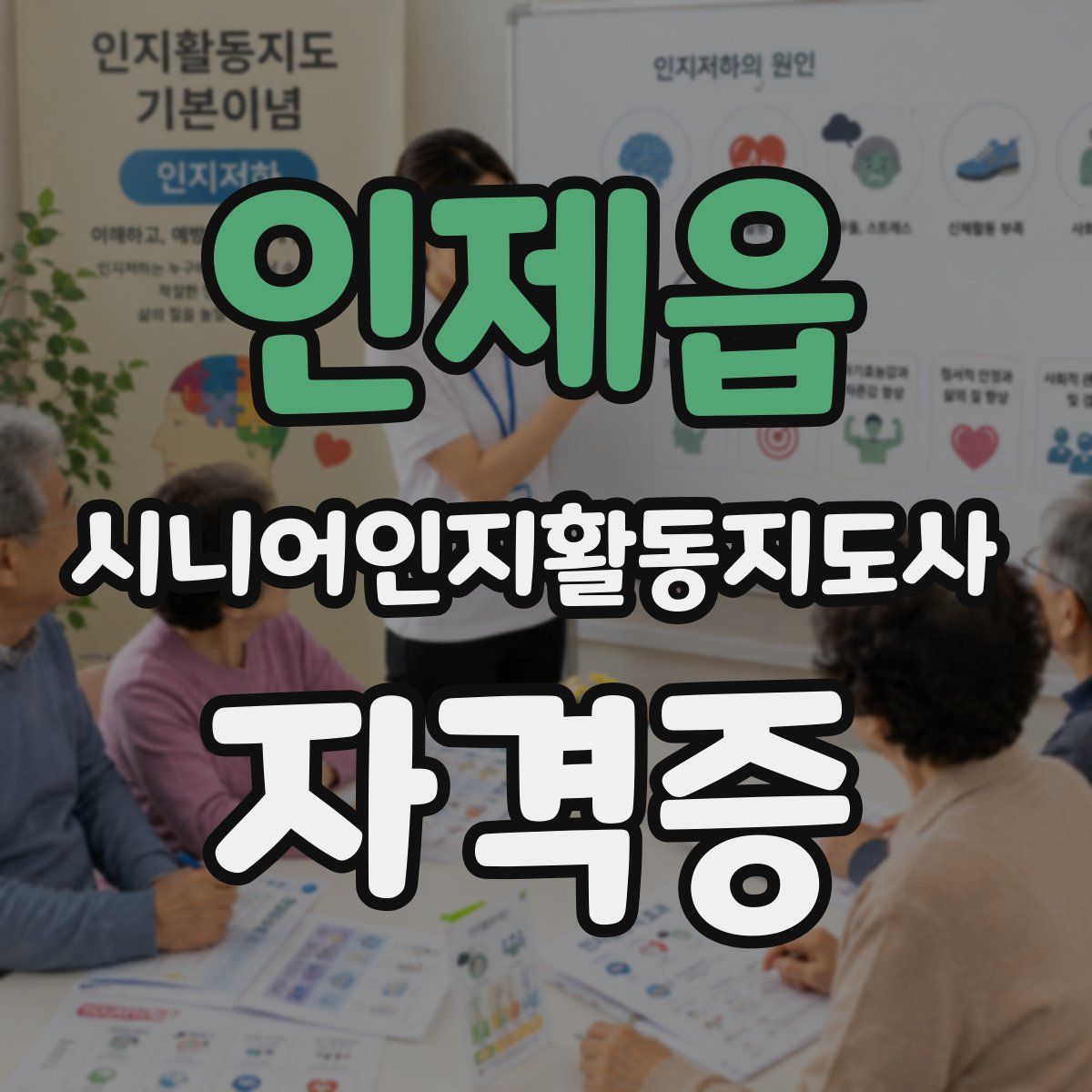 인제읍 시니어인지활동지도사 자격증