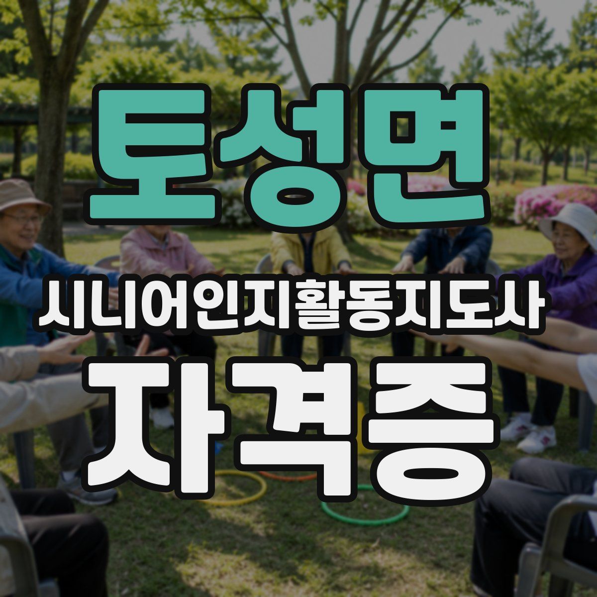 토성면 시니어인지활동지도사 자격증