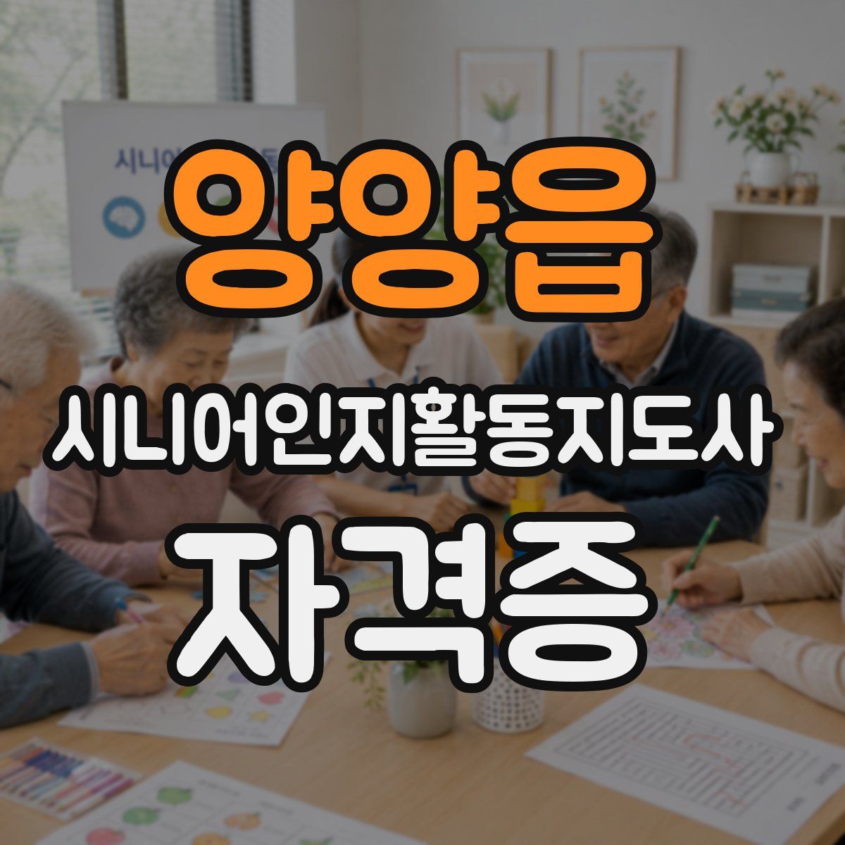 양양읍 시니어인지활동지도사 자격증