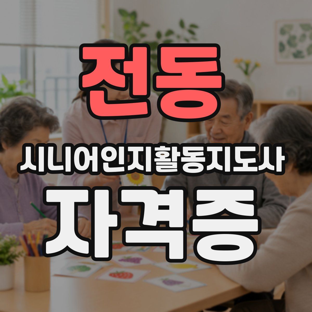 전동 시니어인지활동지도사 자격증